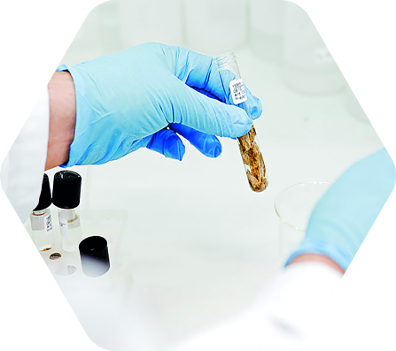 Szenen aus der Archäometrie